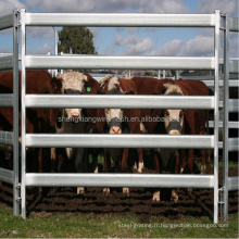 Clôture pour bovins 2,1 mx 2,4 m en rails 5,0/ 6,0 avec ISO9001 se vendent bien dans une ferme australienne (usine de produits)